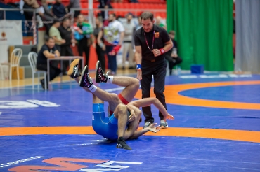 Кубок России по спорту глухих (дисциплина греко-римская борьба, вольная борьба)-2025_119