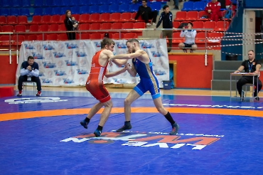 Кубок России по спорту глухих (дисциплина греко-римская борьба, вольная борьба)-2025_84