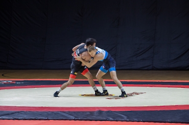 Всероссийские соревнования по греко-римской борьбе 