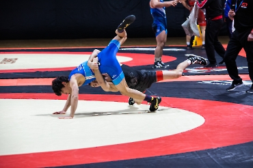 Всероссийские соревнования по греко-римской борьбе 