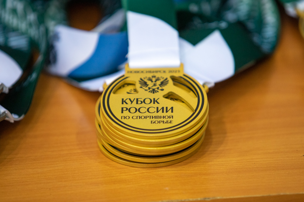 Кубок России по спорту глухих (дисциплина греко-римская борьба, вольная борьба)-2025_181