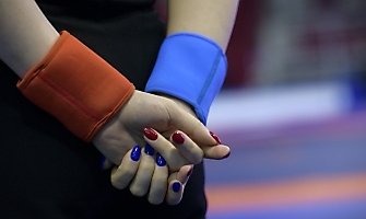 Первенство России по спортивной борьбе (дисциплина: греко-римская борьба) среди юношей до 18 лет (2006-2007 гг. р.) памяти А.И. Найвальта 