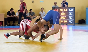 Фестиваль спортивной борьбы 41 армии - 2017, Новосибирск