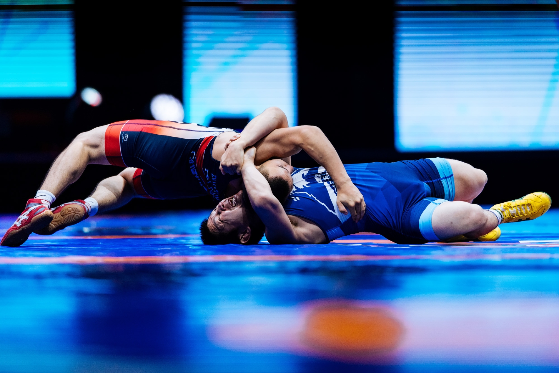 Мемориал Аксёнова-2025 (фото Александр Лукин/Карелин-Фонд)_345