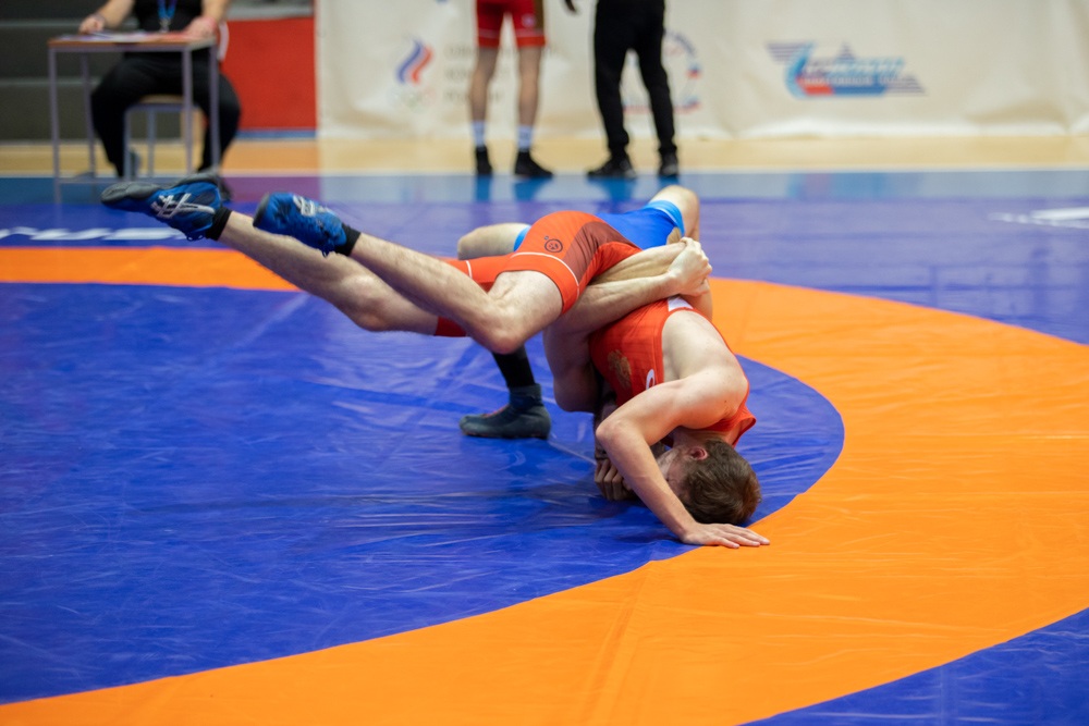 Кубок России по спорту глухих (дисциплина греко-римская борьба, вольная борьба)-2025_90