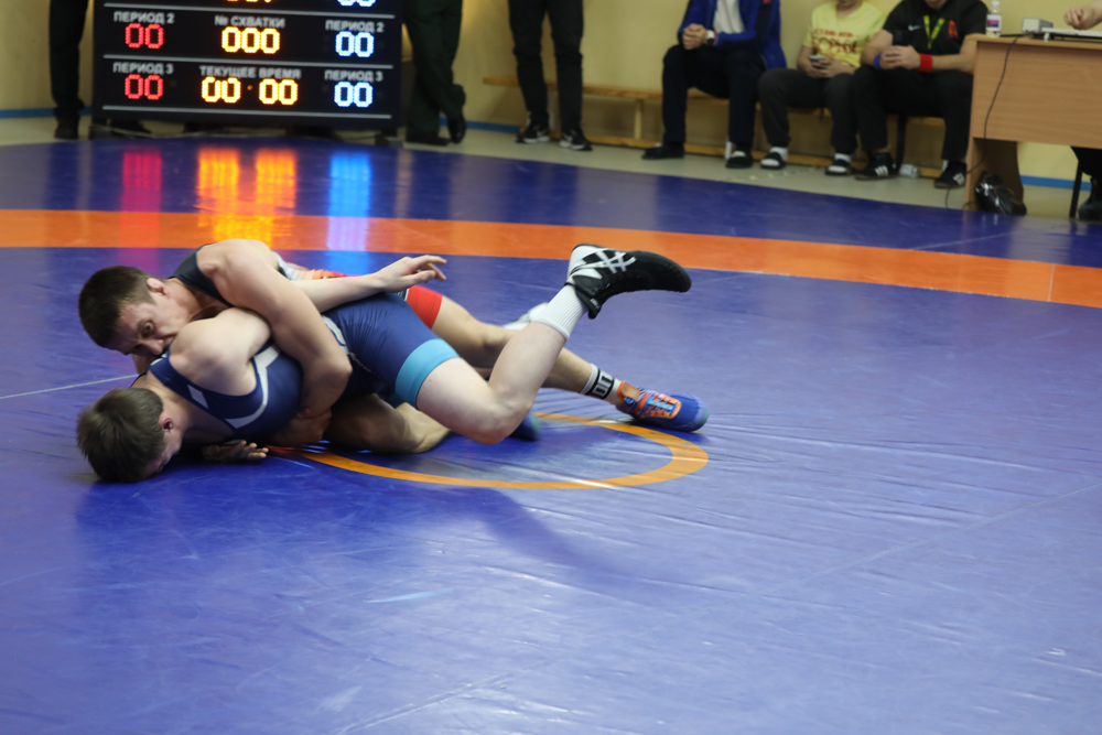 Чемпионат ВС РФ по греко-римской борьбе, 30.11.2025, Фото: Николай Беркалов_32
