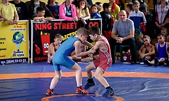 VI Межрегиональный турнир по греко-римской борьбе «Кубок единства», 2017, Бийск_6