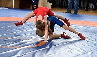 VI Межрегиональный турнир по греко-римской борьбе «Кубок единства», 2017, Бийск_11